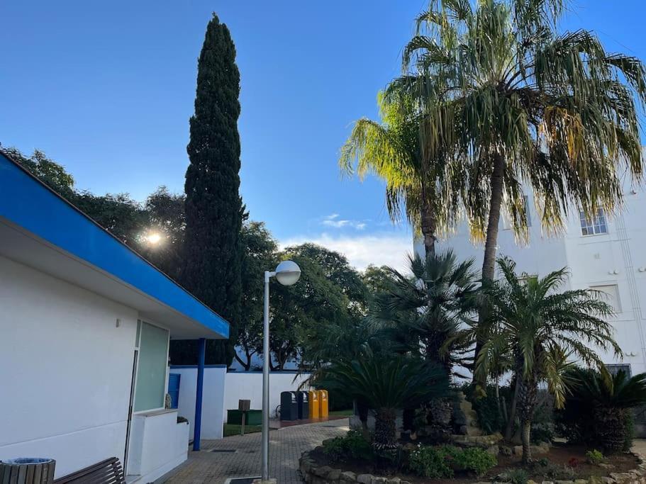 Apartamento En Costa Ballena, Urb. Playa Ballena Cádiz Exteriör bild