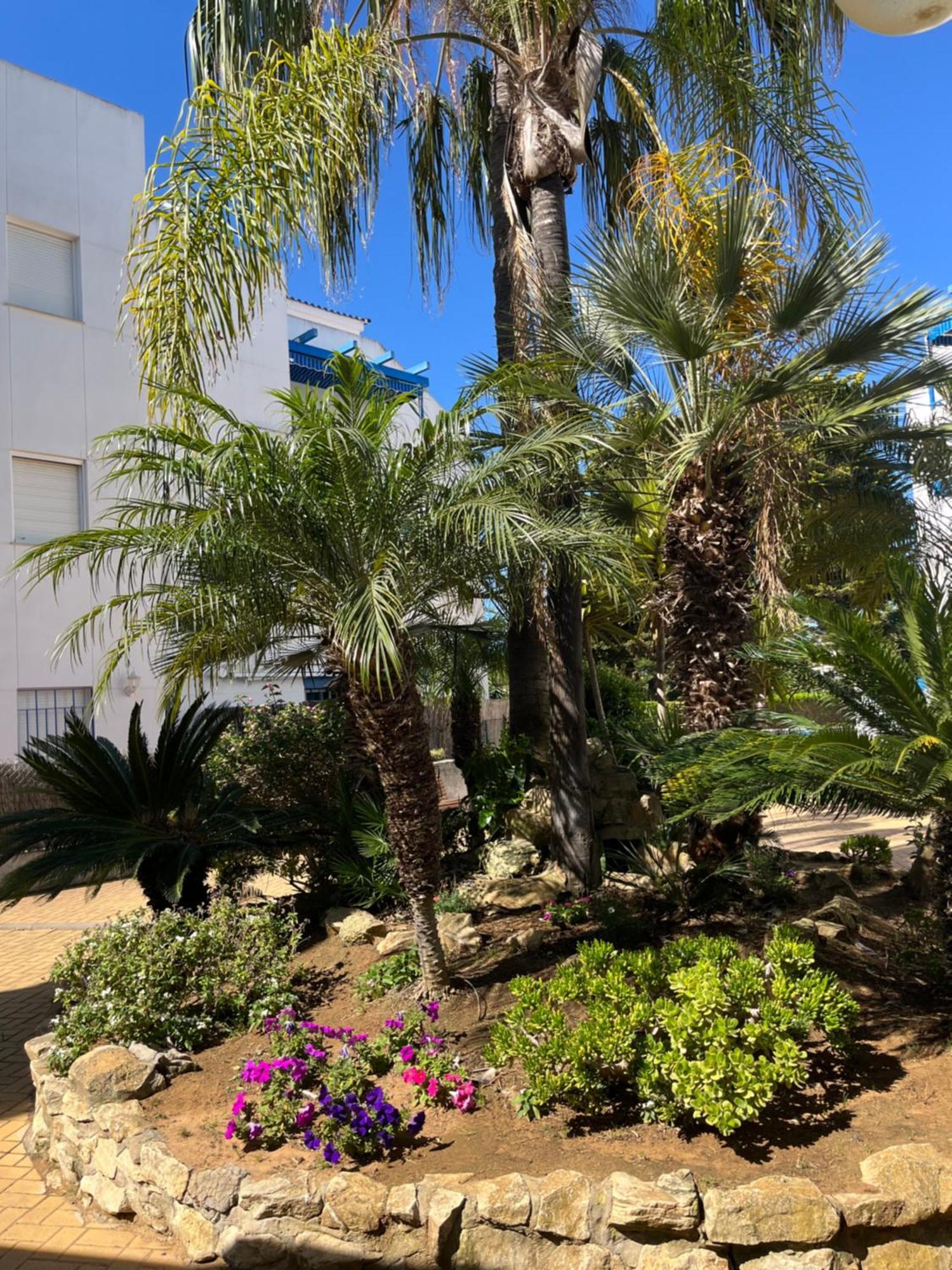 Apartamento En Costa Ballena, Urb. Playa Ballena Cádiz Exteriör bild